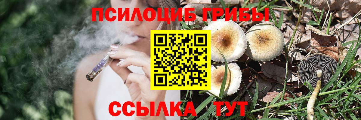 Галлюциногенные грибы GOLDEN TEACHER  Вход с VPN  Краснодар 