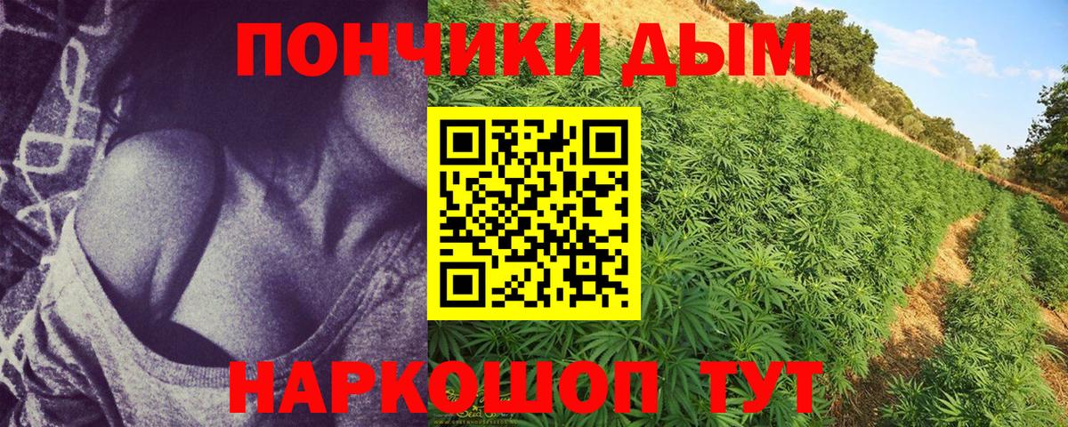 Бошки марихуана Bruce Banner  Бошки марихуана семена  Краснодар  Вход с VPN 